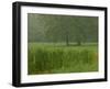 Cattails With Trees, Union Mills, Westminster, Maryland, USA-Corey Hilz-Framed Photographic Print