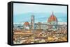 Cattedrale Di Santa Maria Del Fiore in Florence, Italy-Alliance-Framed Stretched Canvas