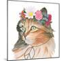 Cattitude I-Myles Sullivan-Mounted Art Print