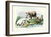 Cattle, 1863-79-Raimundo Petraroja-Framed Giclee Print