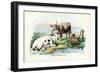 Cattle, 1863-79-Raimundo Petraroja-Framed Giclee Print