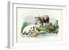 Cattle, 1863-79-Raimundo Petraroja-Framed Giclee Print