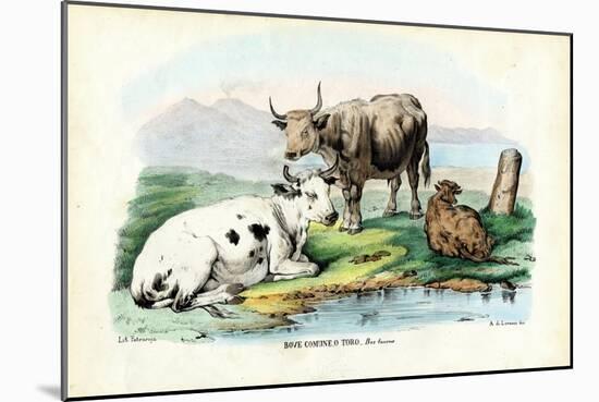Cattle, 1863-79-Raimundo Petraroja-Mounted Giclee Print