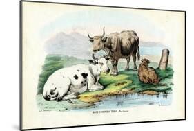 Cattle, 1863-79-Raimundo Petraroja-Mounted Giclee Print