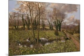 Cattle And Daffodils-Bill Makinson-Mounted Giclee Print