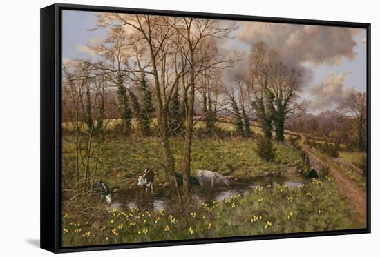 Cattle And Daffodils-Bill Makinson-Framed Stretched Canvas