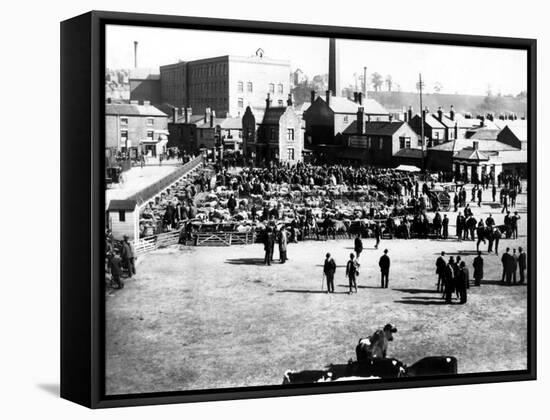 Cattle and Wholesale Market, Kidderminster, 1900-English Photographer-Framed Stretched Canvas