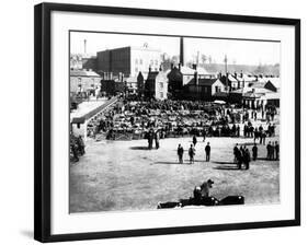 Cattle and Wholesale Market, Kidderminster, 1900-English Photographer-Framed Photographic Print