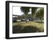 Cattle at Rest-FS Studio-Framed Giclee Print