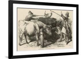 Cattle at Smithfield Market, London, 1849-null-Framed Premium Giclee Print