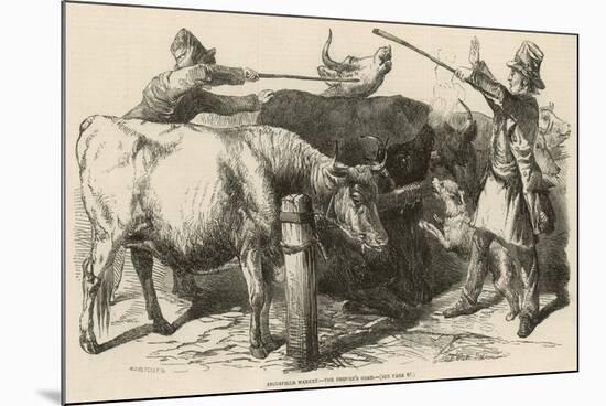Cattle at Smithfield Market, London, 1849-null-Mounted Premium Giclee Print