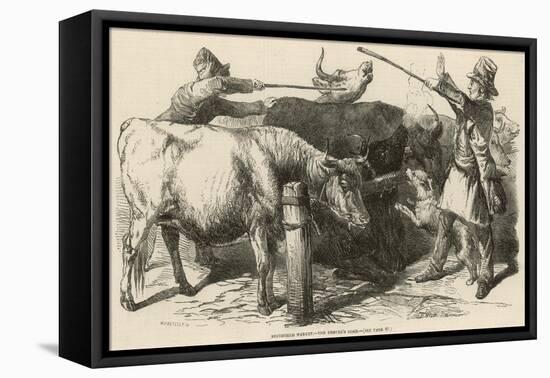 Cattle at Smithfield Market, London, 1849-null-Framed Stretched Canvas