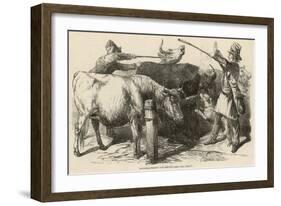 Cattle at Smithfield Market, London, 1849-null-Framed Art Print