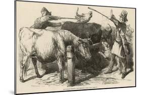 Cattle at Smithfield Market, London, 1849-null-Mounted Art Print