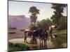 Cattle by a Lake (Oil on Canvas)-Auguste Francois Bonheur-Mounted Giclee Print