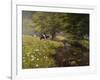 Cattle By The Stream-Bill Makinson-Framed Giclee Print