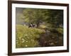 Cattle By The Stream-Bill Makinson-Framed Giclee Print