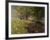 Cattle By The Stream-Bill Makinson-Framed Giclee Print