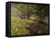 Cattle By The Stream-Bill Makinson-Framed Stretched Canvas