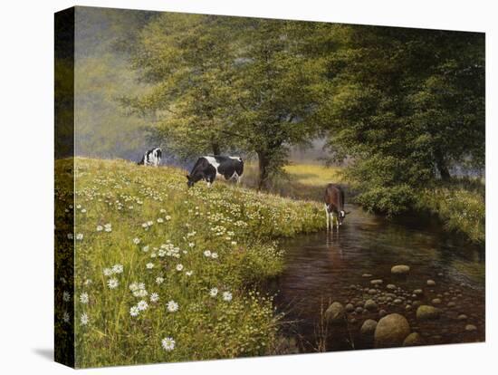 Cattle By The Stream-Bill Makinson-Stretched Canvas