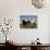 Cattle, County Waterford, Ireland-null-Stretched Canvas displayed on a wall