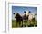 Cattle, County Waterford, Ireland-null-Framed Photographic Print