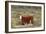 Cattle Cow with Calf-null-Framed Photographic Print