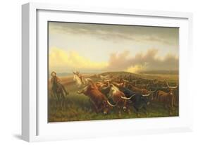 Cattle Drive 1, C.1877 (Oil on Canvas)-James Walker-Framed Giclee Print