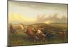 Cattle Drive 1, C.1877 (Oil on Canvas)-James Walker-Mounted Giclee Print