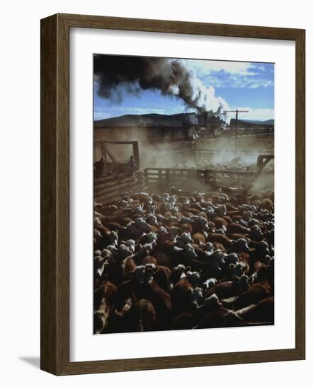 Cattle Drive at Trinchera Ranch-Loomis Dean-Framed Photographic Print