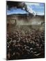Cattle Drive at Trinchera Ranch-Loomis Dean-Mounted Photographic Print