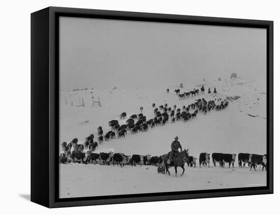 Cattle Drive on Snowy Landscape to Virginia City-Ralph Crane-Framed Stretched Canvas