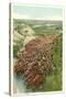 Cattle Drive, Rounding up the Herd-null-Stretched Canvas