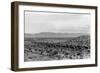 Cattle Drive through Desert-Hutchings, Selar S.-Framed Photographic Print