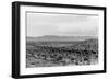 Cattle Drive through Desert-Hutchings, Selar S.-Framed Photographic Print