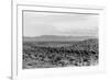 Cattle Drive through Desert-Hutchings, Selar S.-Framed Photographic Print