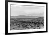 Cattle Drive through Desert-Hutchings, Selar S.-Framed Photographic Print