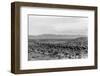 Cattle Drive through Desert-Hutchings, Selar S.-Framed Photographic Print