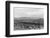 Cattle Drive through Desert-Hutchings, Selar S.-Framed Photographic Print