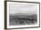 Cattle Drive through Desert-Hutchings, Selar S.-Framed Photographic Print