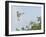 Cattle Egret-Gary Carter-Framed Photographic Print