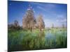 Cattle Egrets Nesting in Drowned Acacia Trees-null-Mounted Photographic Print