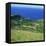 Cattle, Fields and Small Village on the Island of Flores in the Azores, Portugal, Atlantic, Europe-David Lomax-Framed Stretched Canvas