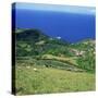 Cattle, Fields and Small Village on the Island of Flores in the Azores, Portugal, Atlantic, Europe-David Lomax-Stretched Canvas