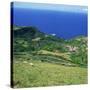 Cattle, Fields and Small Village on the Island of Flores in the Azores, Portugal, Atlantic, Europe-David Lomax-Stretched Canvas