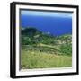 Cattle, Fields and Small Village on the Island of Flores in the Azores, Portugal, Atlantic, Europe-David Lomax-Framed Premium Photographic Print