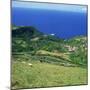 Cattle, Fields and Small Village on the Island of Flores in the Azores, Portugal, Atlantic, Europe-David Lomax-Mounted Premium Photographic Print