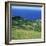 Cattle, Fields and Small Village on the Island of Flores in the Azores, Portugal, Atlantic, Europe-David Lomax-Framed Photographic Print