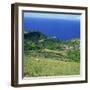 Cattle, Fields and Small Village on the Island of Flores in the Azores, Portugal, Atlantic, Europe-David Lomax-Framed Photographic Print