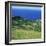 Cattle, Fields and Small Village on the Island of Flores in the Azores, Portugal, Atlantic, Europe-David Lomax-Framed Photographic Print